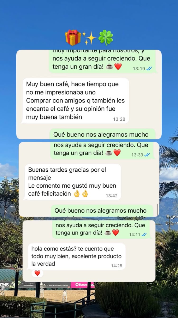 Reseña de cliente de Typica por WhatsApp: hace tiempo que no le impresionaba un café.